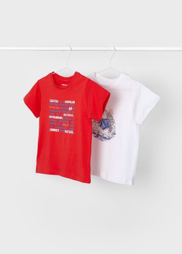 Erkek Çocuk İkili Tişört Set - 4