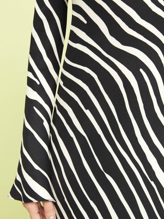 Zebra Desen Elbise - 5